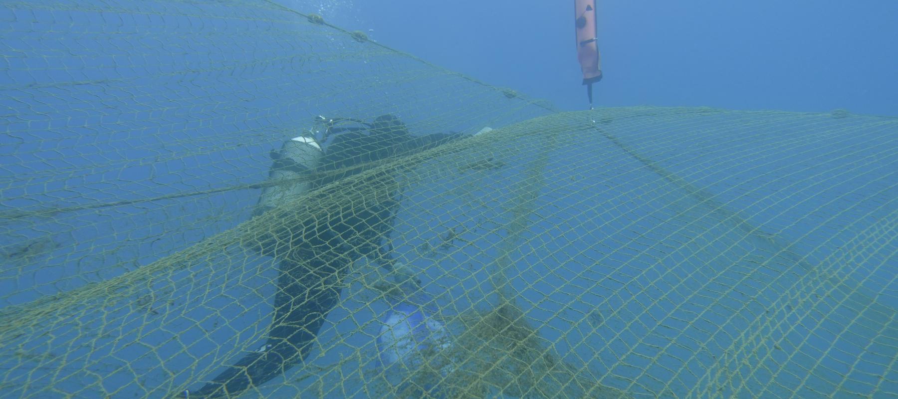 Une fois le filet décoincé, les plongeurs le maintienne au-dessus du fond rocheux à l'aide d'un parachute de plongée (c) Palana Environnement