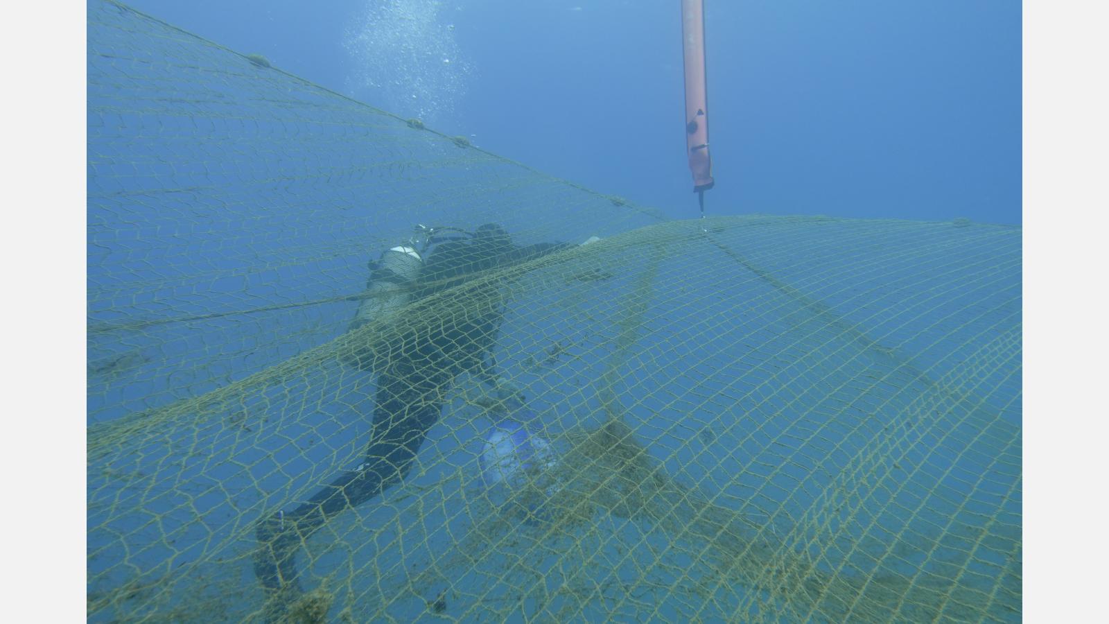 Une fois le filet décoincé, les plongeurs le maintienne au-dessus du fond rocheux à l'aide d'un parachute de plongée (c) Palana Environnement